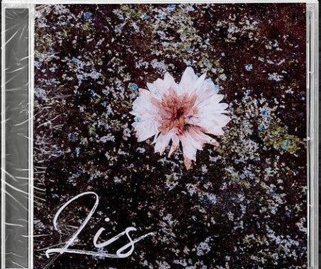 Path To Nihil - Lis - CD