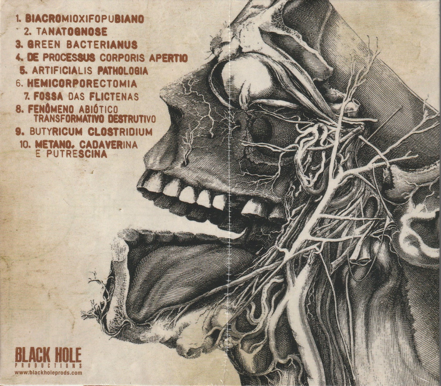 Flesh Grinder - Biacromioxifopubiano CD
